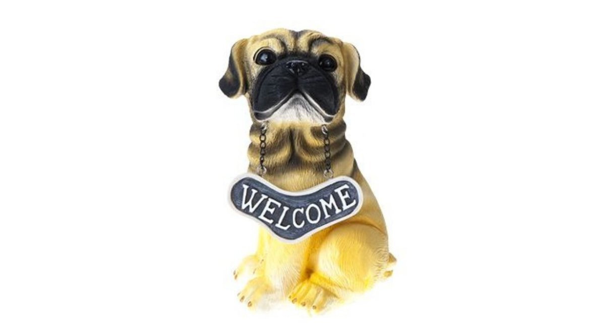pug cinsi köpek