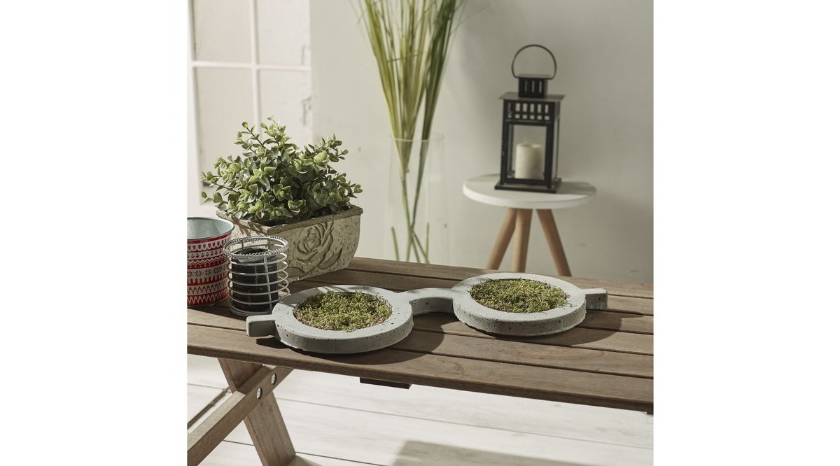 GLANS BETON DUVAR BİTKİSİ VE DEKORU FİYATI Vivense