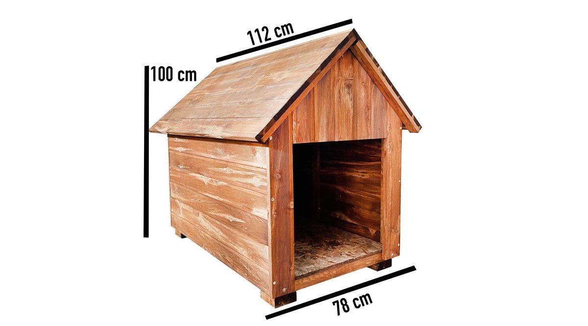 büyük köpek evi