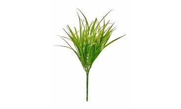 FİORİNA GRASS YEŞİL