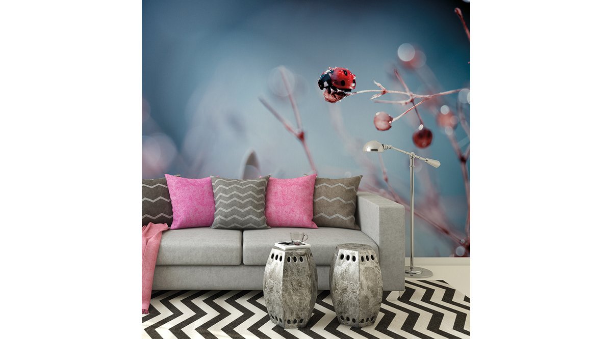 LADYBUG POSTER DUVAR KAĞIDI FİYATI Vivense