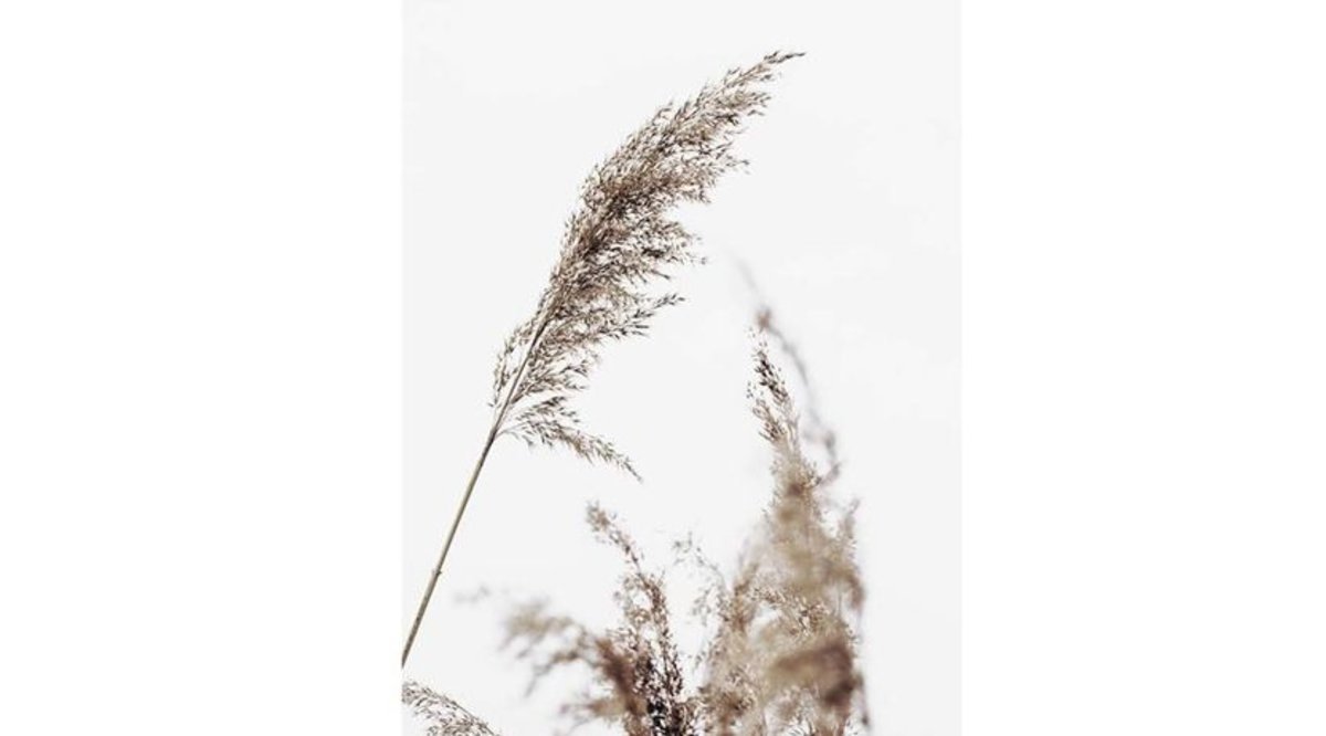 ÖZCANLAR ÇERÇEVE WİSH YATAK ODASI KONSEPT ÜÇLÜ TABLO SETİ