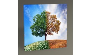 DÖRT MEVSİM AĞAÇ TABLO 30X30