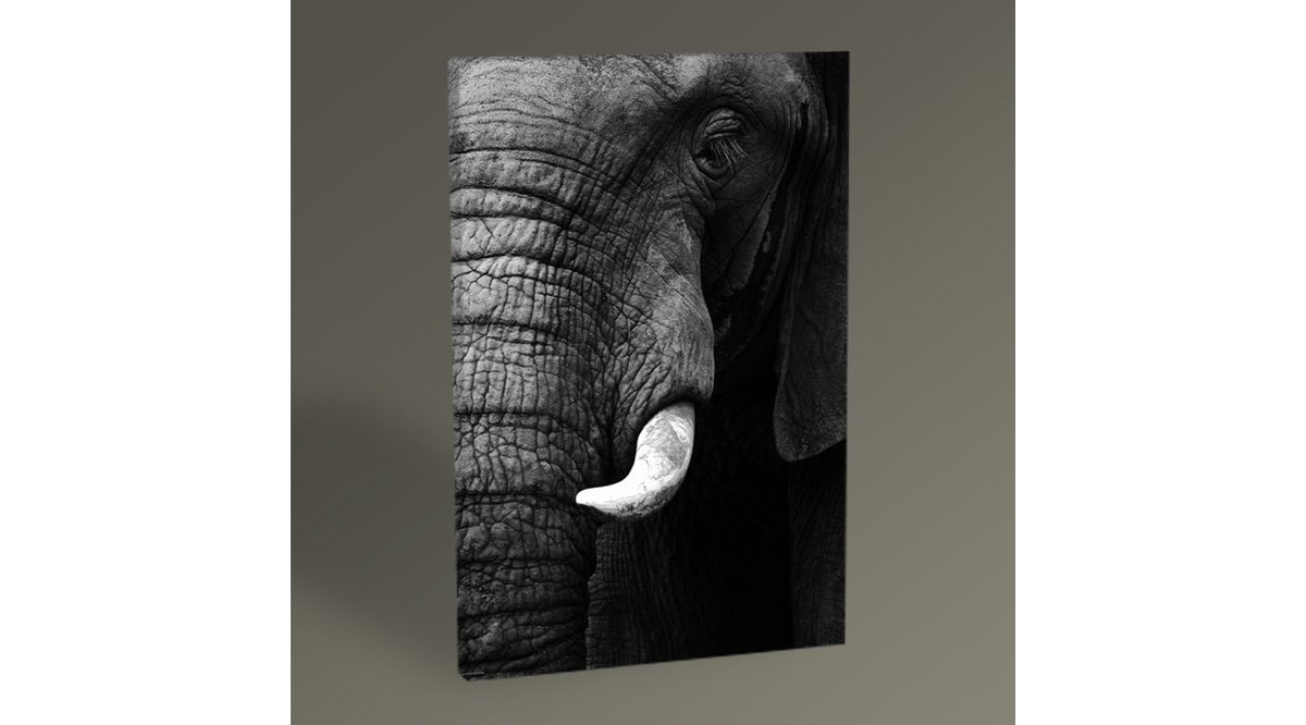 Elephant Tablo ELEPHANT TABLO 30X20