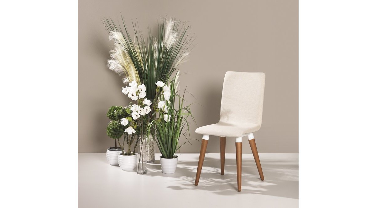 İZMİR SANDALYE KREM FİYATI Vivense