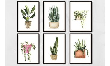 RENKLİ SAKSILAR TABLO SETİ 21X30