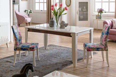 YENİ VENÜS YEMEK ODASI