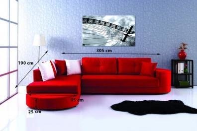 ANYO KIRMIZI KÖŞE TAKIMI